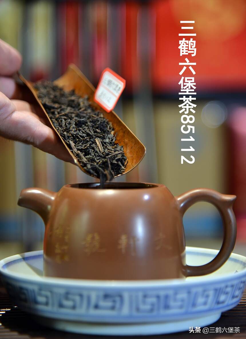 三鹤六堡茶85112品鉴评测