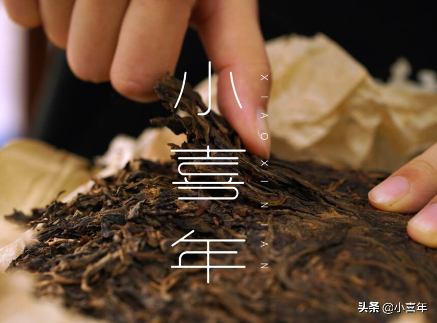 小喜年带你逛2019深圳茶博会（2）