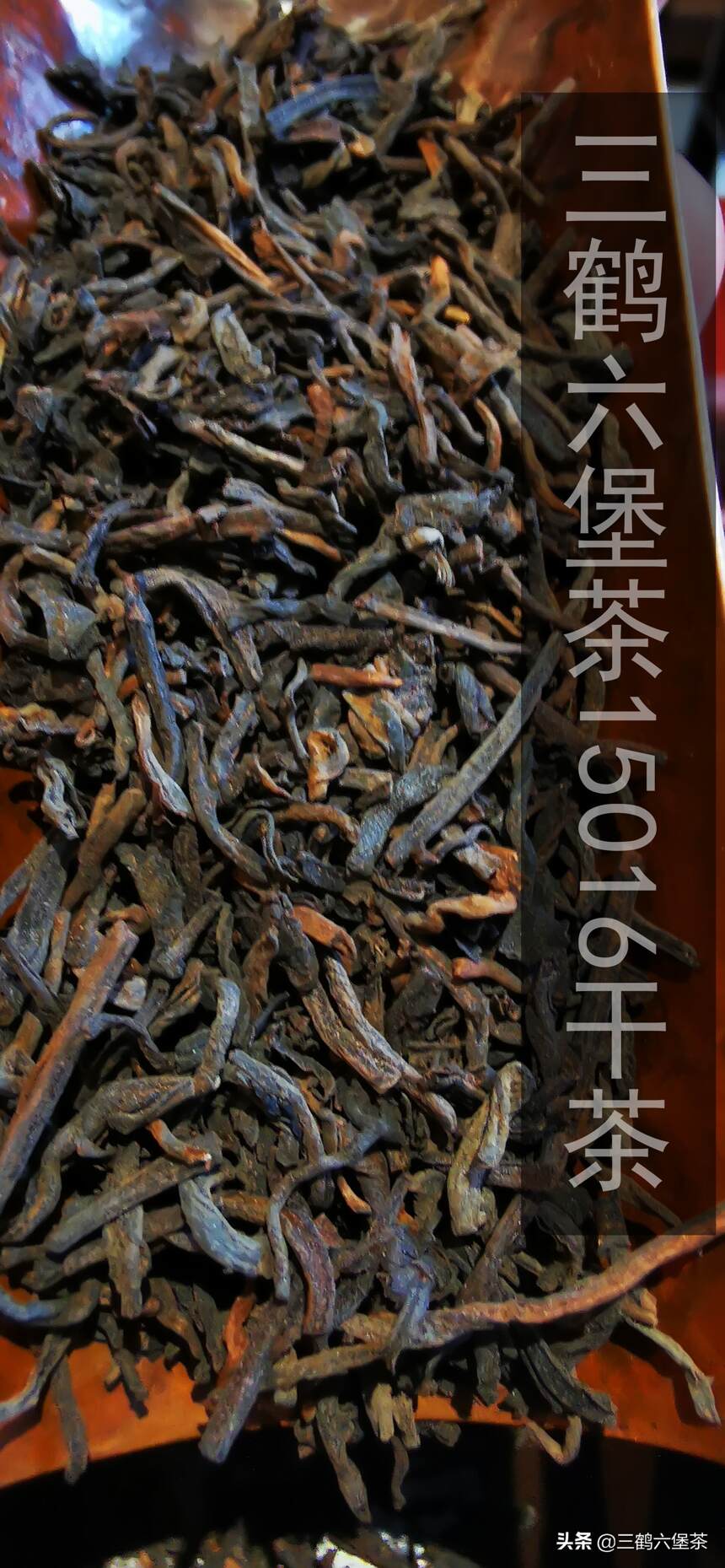 三鹤六堡茶15016品鉴评测