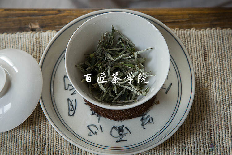 一篇文章读懂福鼎白茶的养生保健功能和药用价值