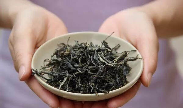 单株古树茶是什么，单株古树茶的特点
