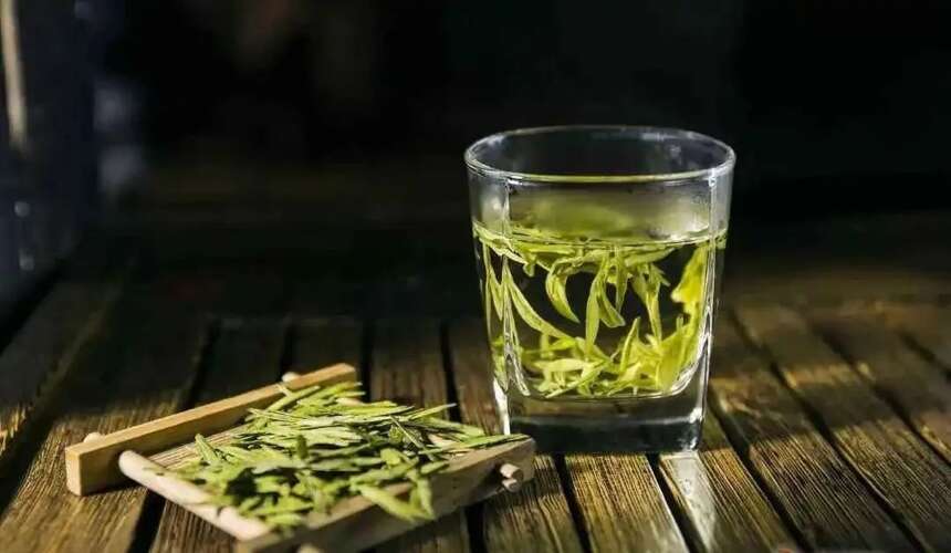 陆羽茶交所分享为什么普洱能藏100年，而绿茶保质期只有36个月？