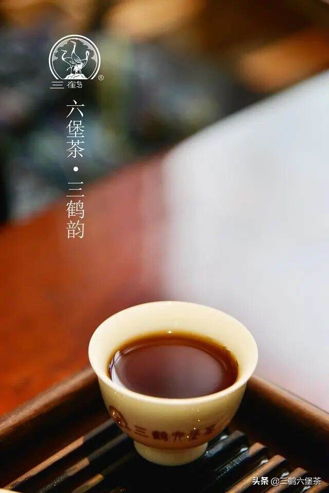 中国六堡茶最具代表的“六堡韵”