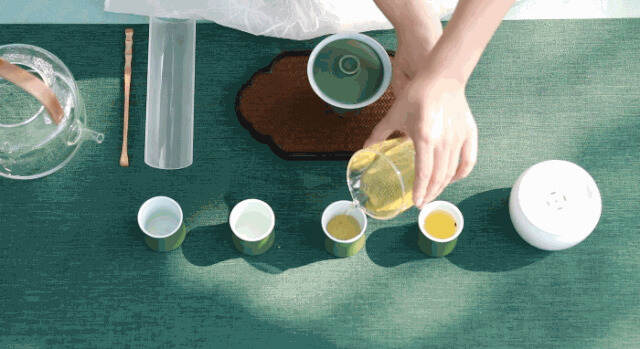 四季莫负春光日，一杯高山白茶，饮尽南国春色