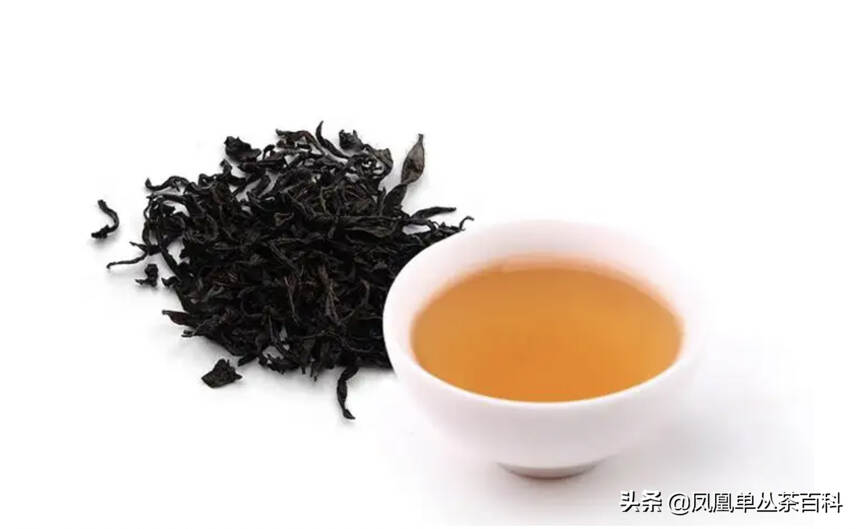 凤凰单丛与武夷岩茶有什么区别？
