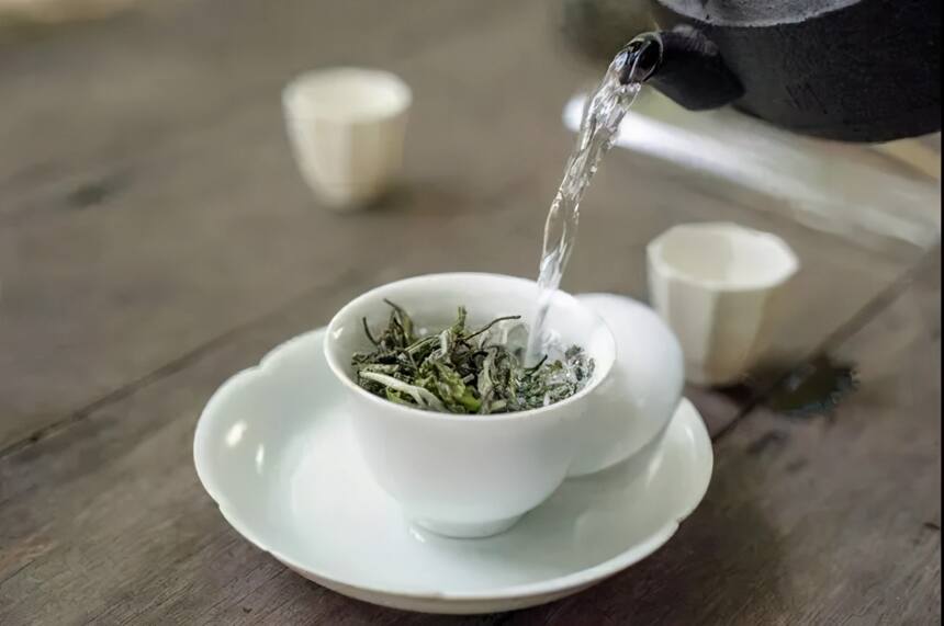 烘干的白茶与未烘干的白茶，如何区别？