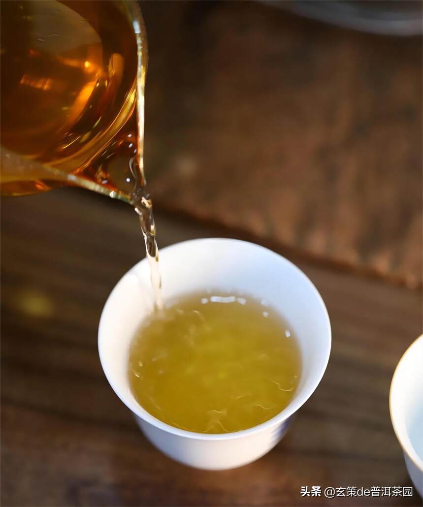 普洱生茶怎么泡才会更好喝？