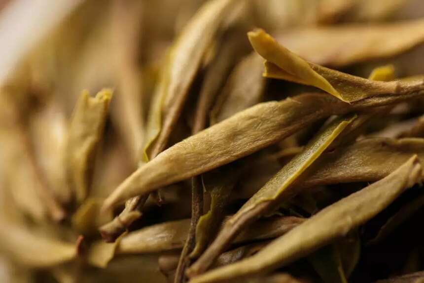 茶贱伤农：购买白茶不能忽略的几个好茶标准