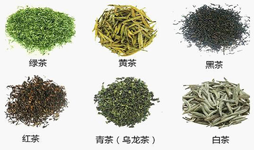 中华茶史笔记：茶的起源及各个朝代茶的不同形态