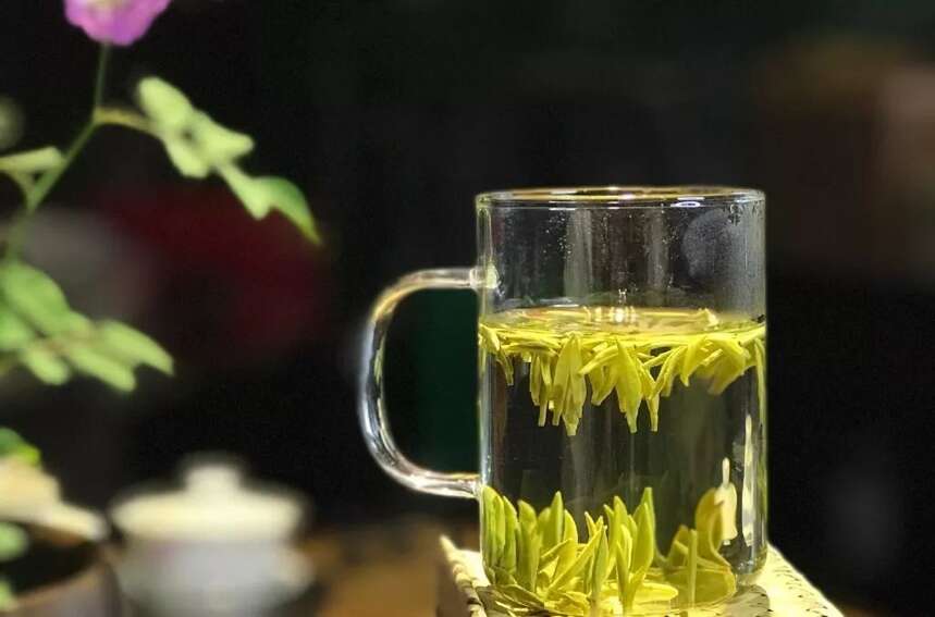 多国联合研究发现：喝茶竟能延缓大脑衰老，然而，300万人喝错了