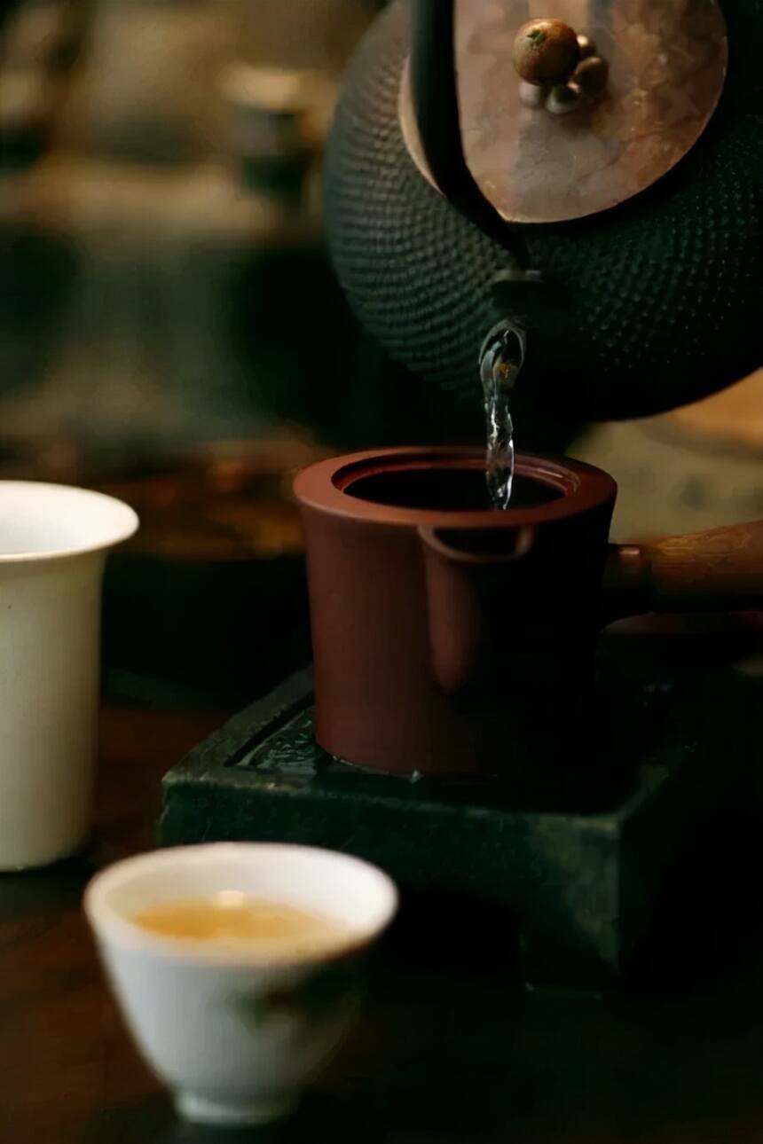 关于白茶最常被问到的5个问题，有你想了解的吗？