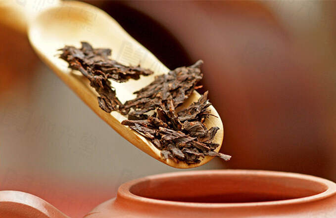 普洱茶知识：普洱茶汤会浑浊的6大原因