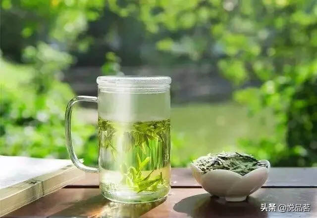 泡绿茶“最忌讳”先投茶后倒水？想要茶味香浓，必须牢记这几点