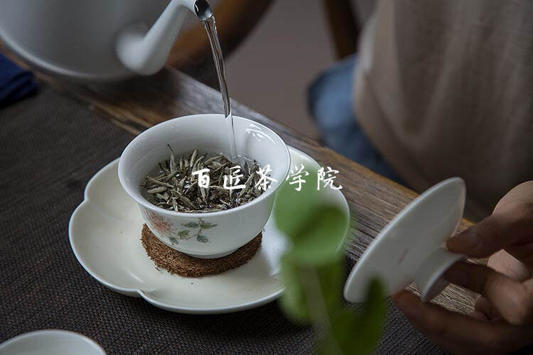 福鼎白茶茶艺，茶水间体验一场心灵的美妙修行