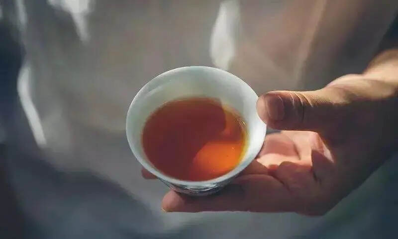 清风徐来，秋将至，乌龙茶、白茶、普洱茶，秋天该喝哪款茶？