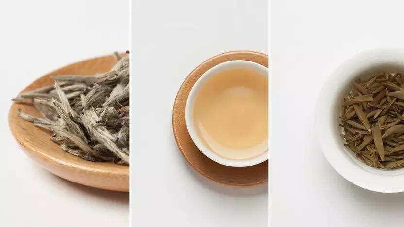 白茶收藏：目盲追求老白茶？不如用心收藏新白茶