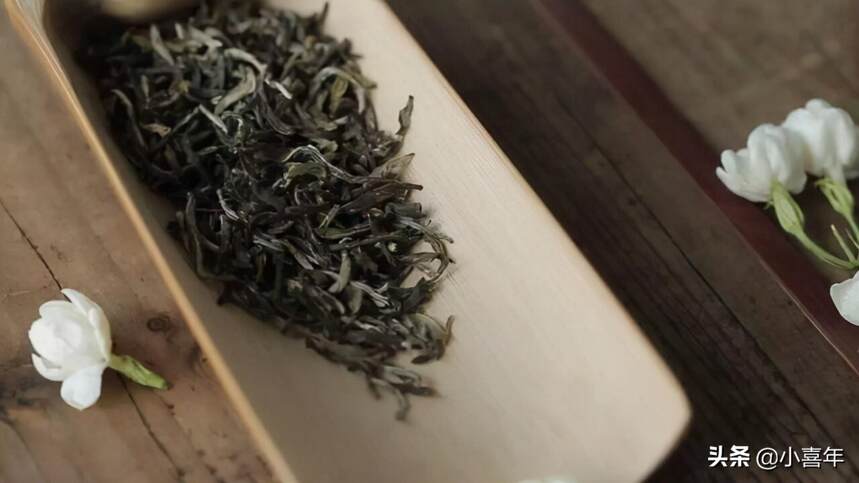 北方人最喜欢的茉莉花茶，凭什么占据了花茶的主导地位？