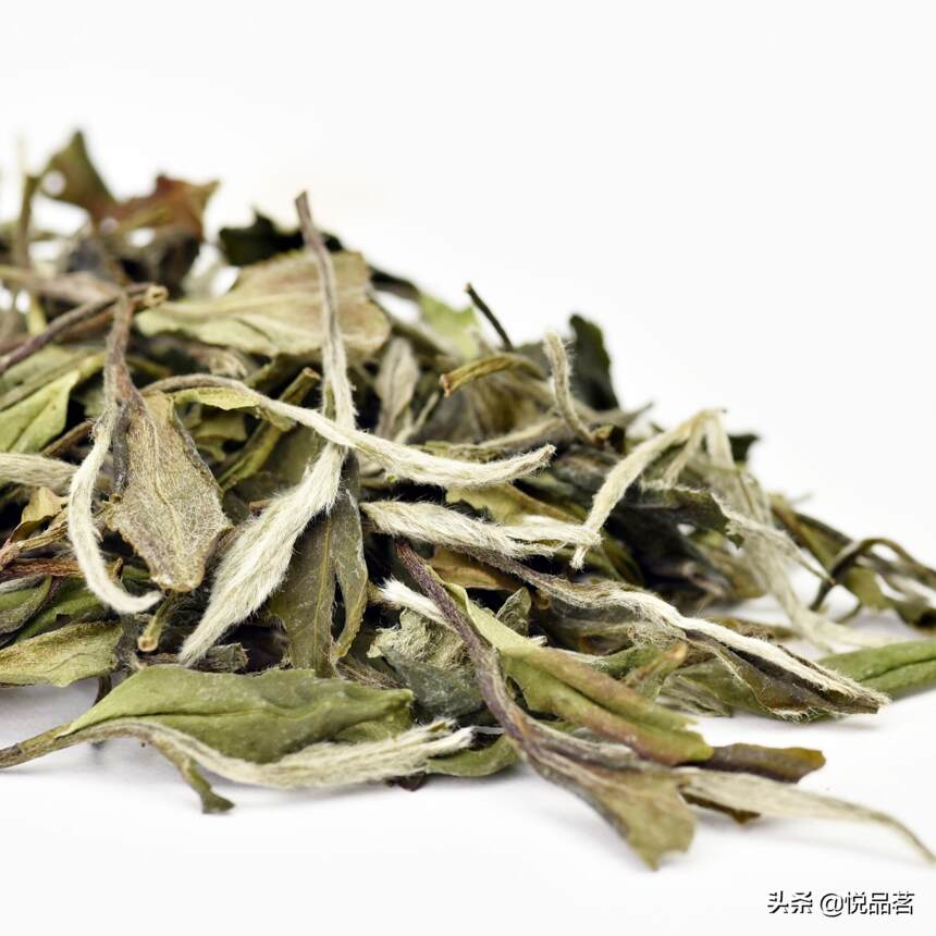 白牡丹是红茶还是绿茶？白牡丹属于什么茶类？