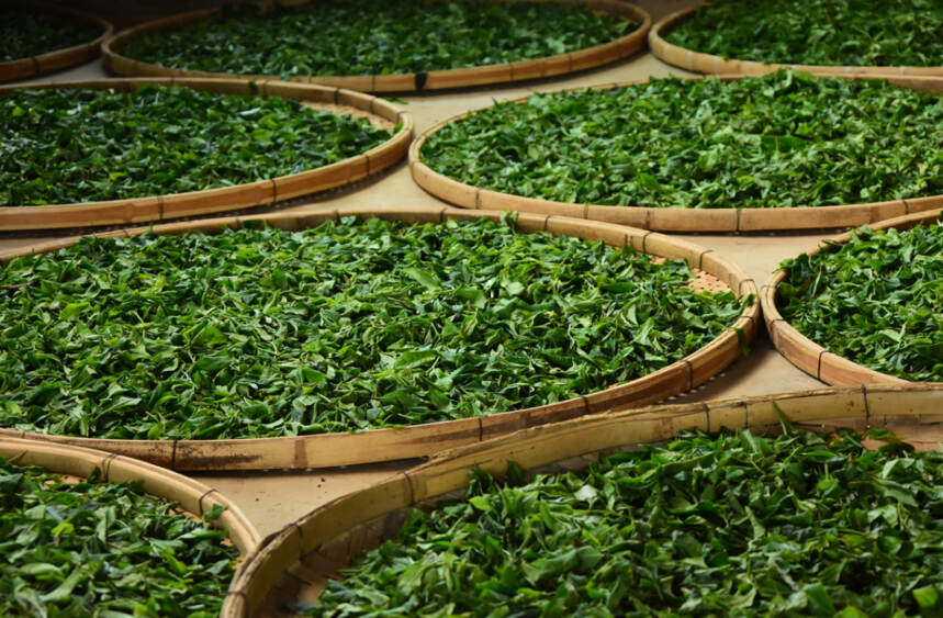 茶难卖！普洱茶行业三大痛点，解决任何一个，普洱茶都能扩张十倍