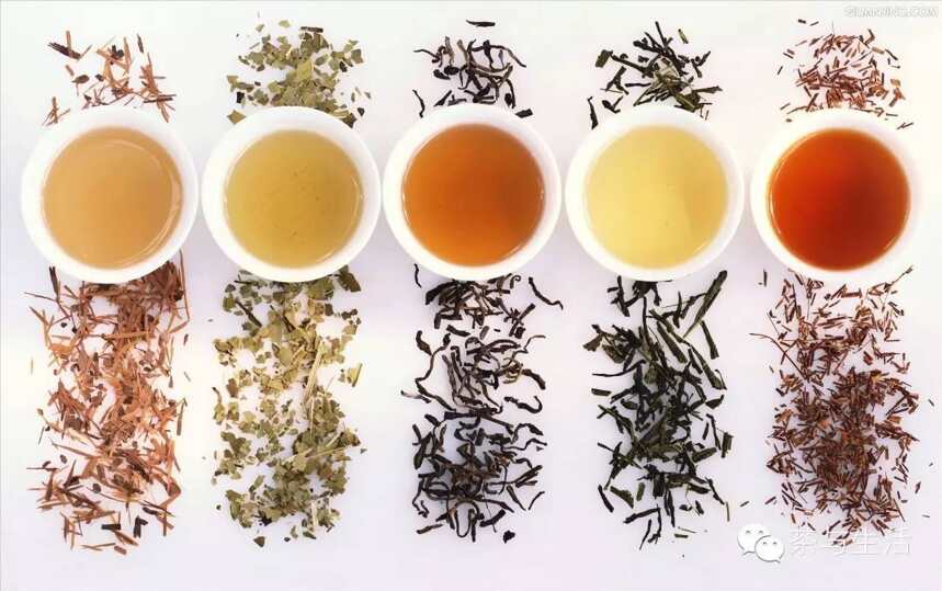 新茶上市，去年的绿茶还可以喝吗？茶叶保质期相关知识汇总
