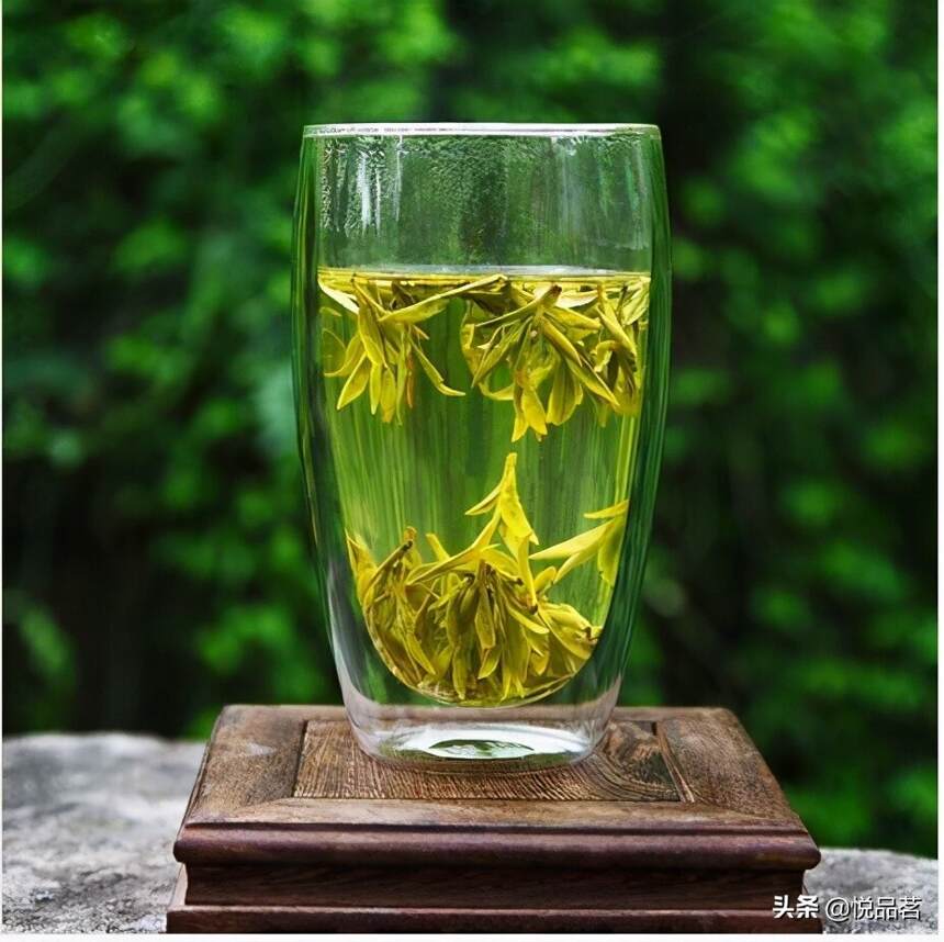 龙井茶适合用紫砂壶冲泡吗？龙井茶哪些茶具泡比较好？