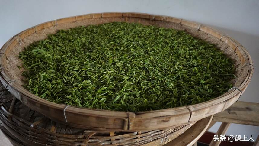 你的绿茶买的贵，喝法不对全浪费。茶贵，贵在好风味