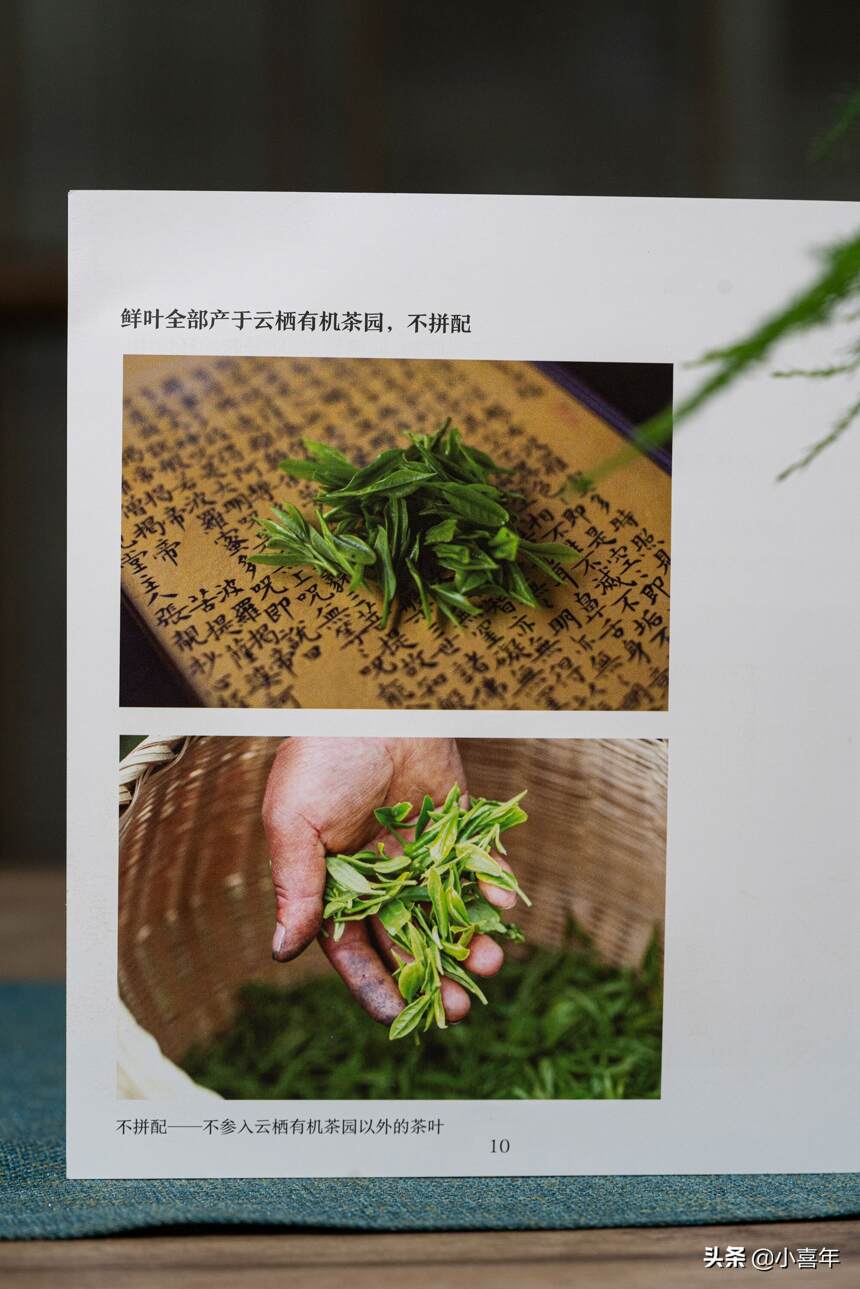 品“老龙井”的味道，传承龙井茶文化