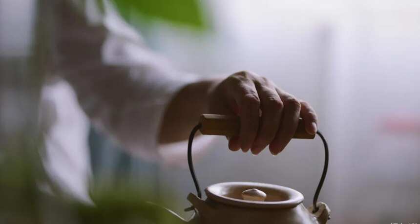 为什么有时候喝了白茶反倒更困？