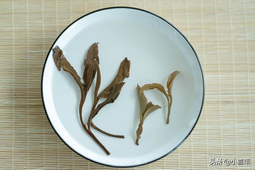 又贵又难买到的“猫耳朵”，到底是不是云南大叶种普洱茶？