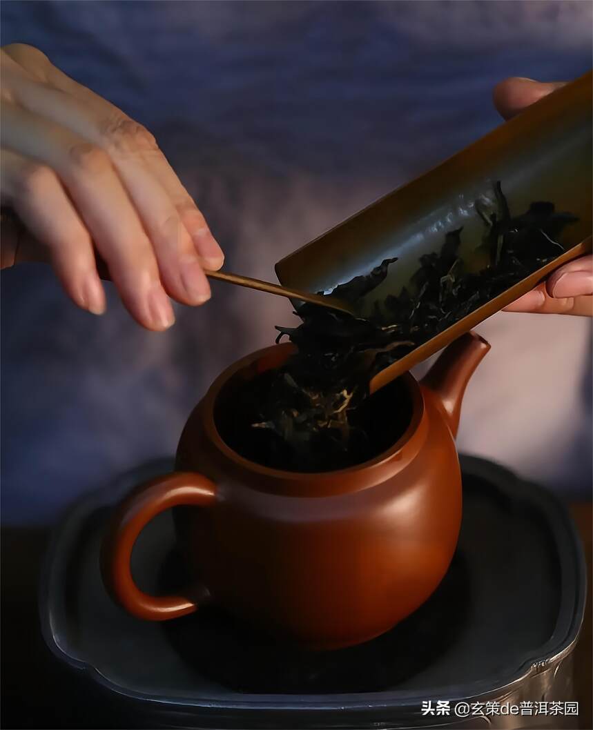 普洱生茶怎么泡才会更好喝？