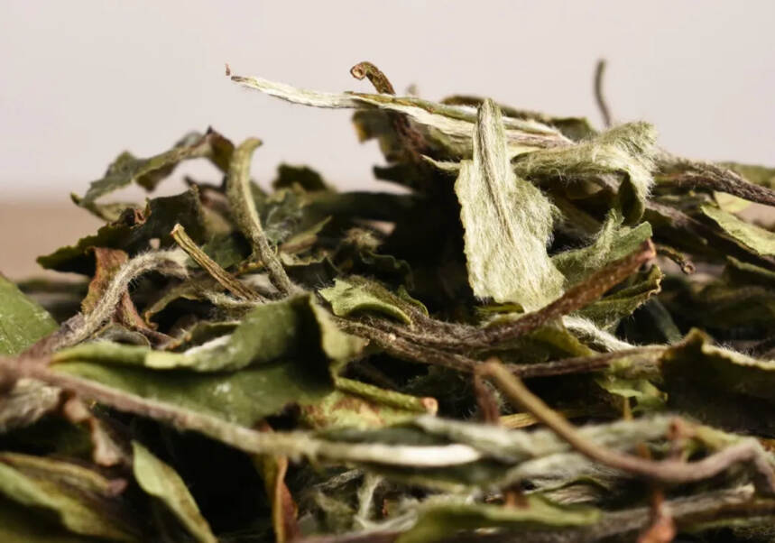 茶的香气是如何形成的？白茶芳香物质的形成受哪些方面的影响？