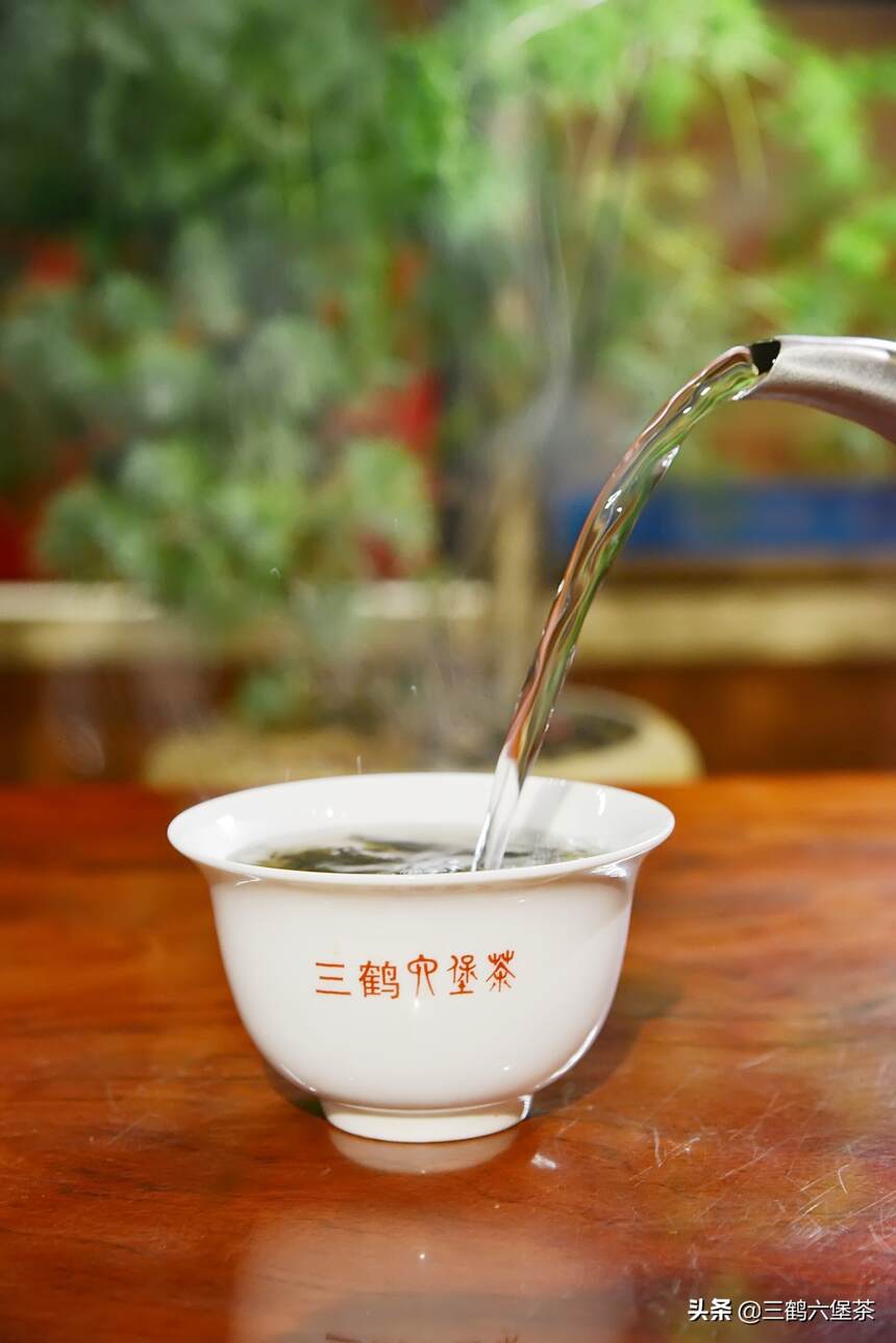 三鹤茶杯杯香，号称史上最强口粮茶品鉴评测