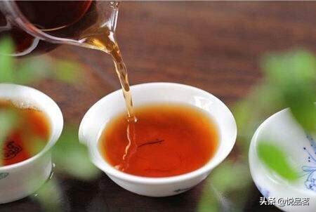 懂茶与喝茶并不冲突，忙碌的日常从茶中寻觅惬意时光