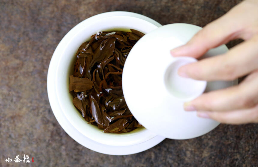 可以陈化的红茶：荒野红茶的“荒”和“野”