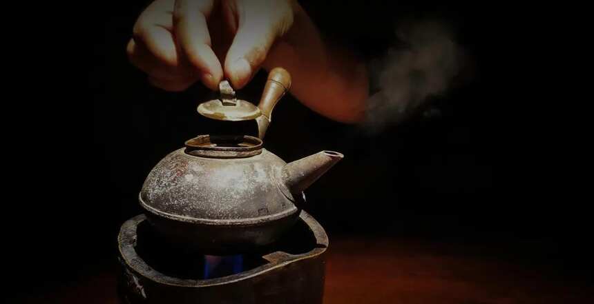 白茶枣香：从何而来？中期茶与老白茶有何区别？