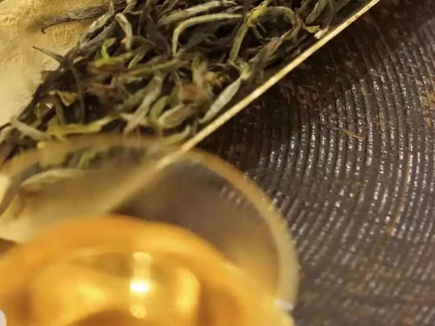 菜茶、产量少、贡茶，三大关键点了解贡眉的前世今生