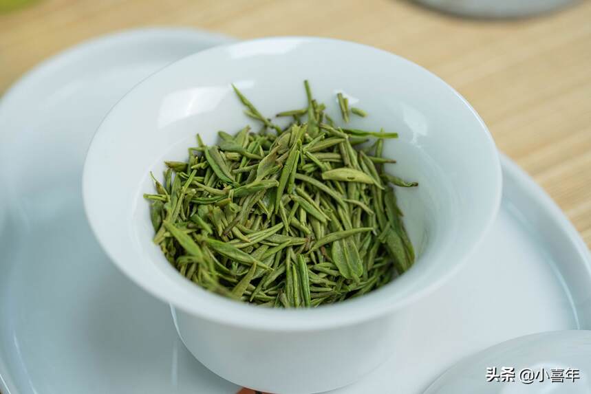 海南的第一批春茶已经上市，江南地区还在下雪，春茶如何是好？