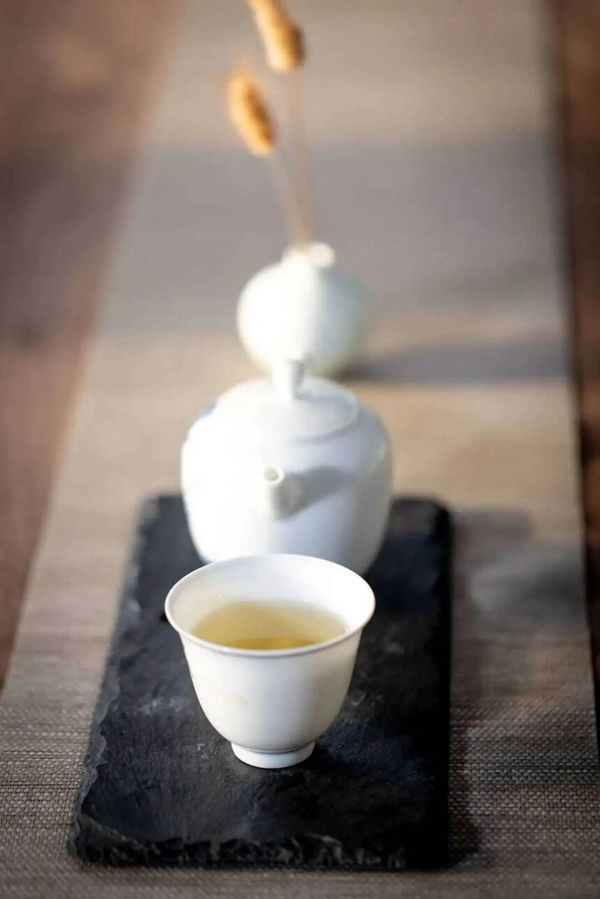 福鼎白茶的29个专业术语，你懂几个？