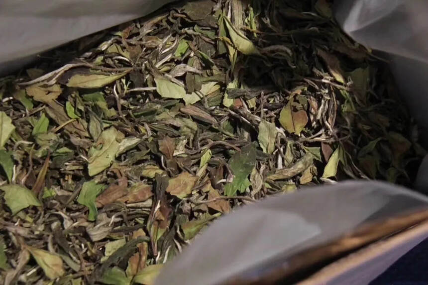 白茶有“青味”是正常的吗?看白茶、普洱茶、绿茶客分别怎么说！
