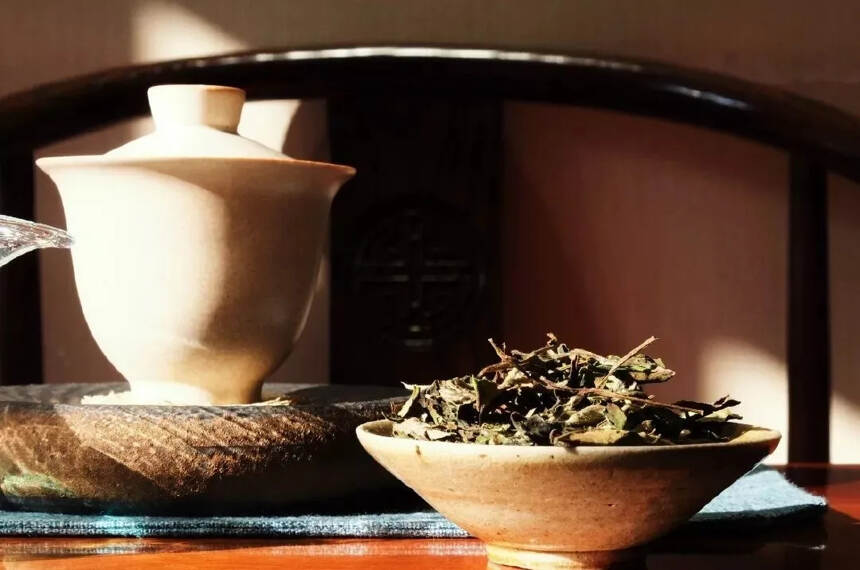 温度与湿度，谁才是影响高山白茶品质的最佳助力？