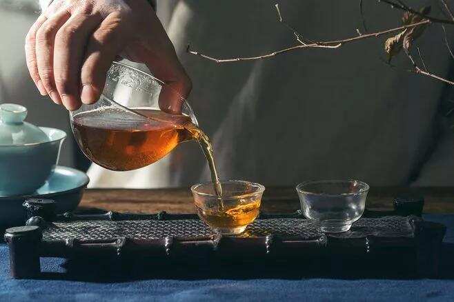 福鼎白茶的荒野冬片是什么茶？到底有多好喝？