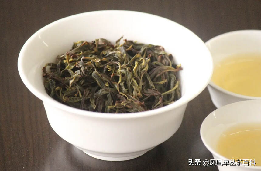 喝凤凰单丛茶，应该选新茶还是老茶？