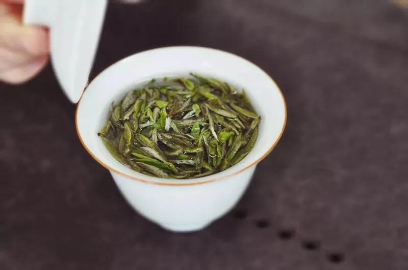 白毫银针，为什么不是最早上市的春白茶？