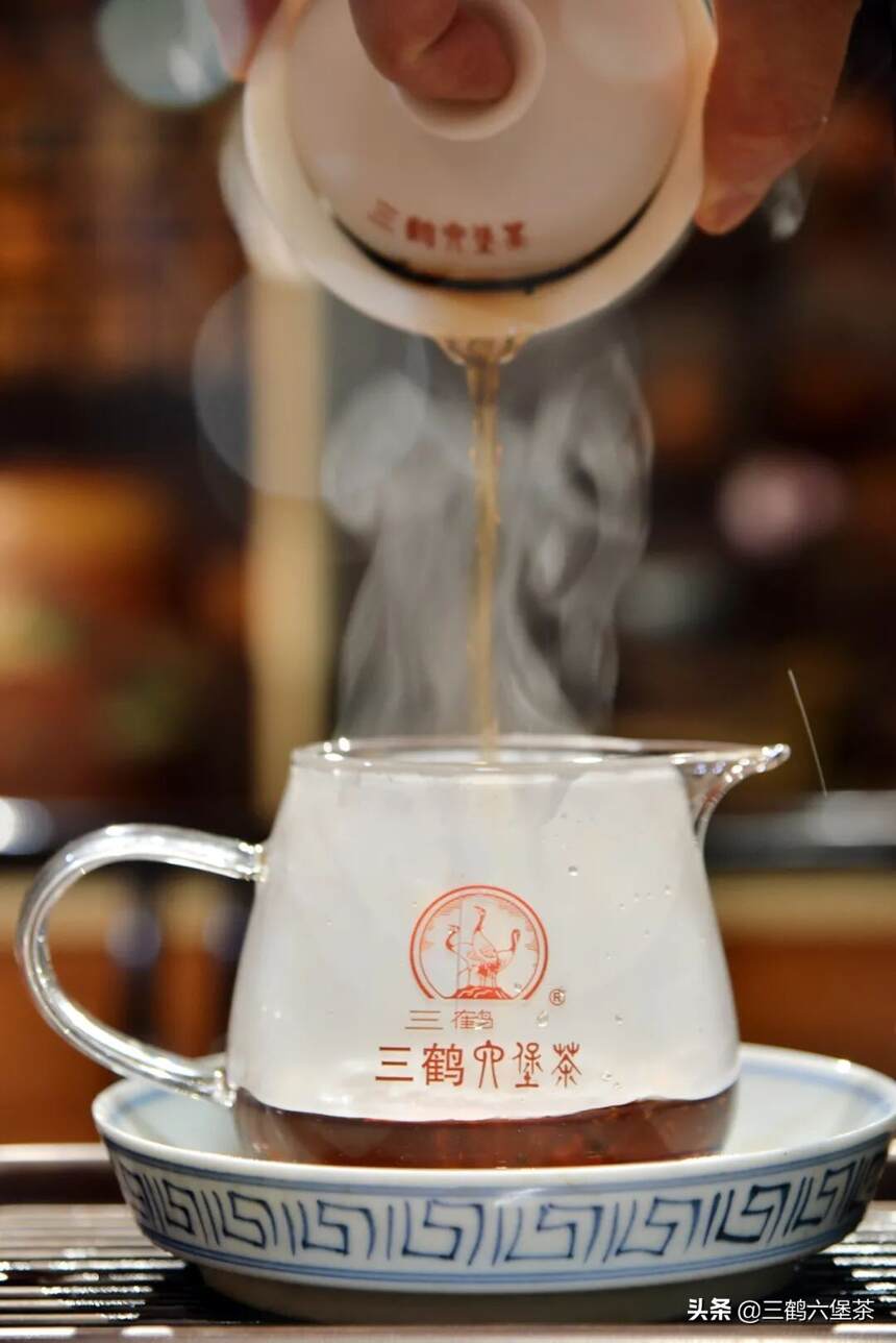 三鹤六堡茶「初心2021」品鉴评测