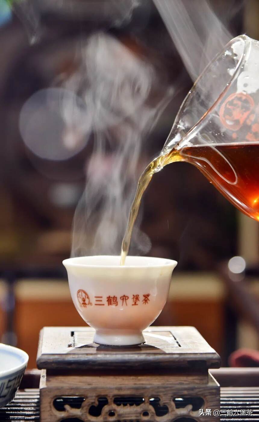 三鹤六堡茶「初心2021」品鉴评测