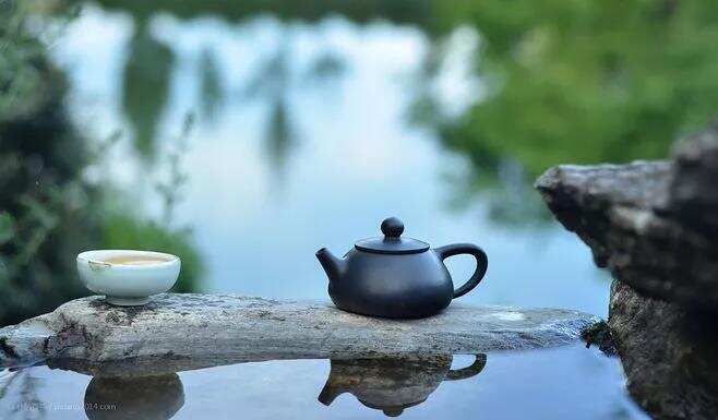 茶为万病之药，一天三杯福鼎白茶应该这样喝