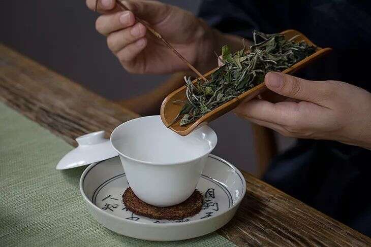 白茶、绿茶、红茶、普洱茶、乌龙茶该怎么洗茶？