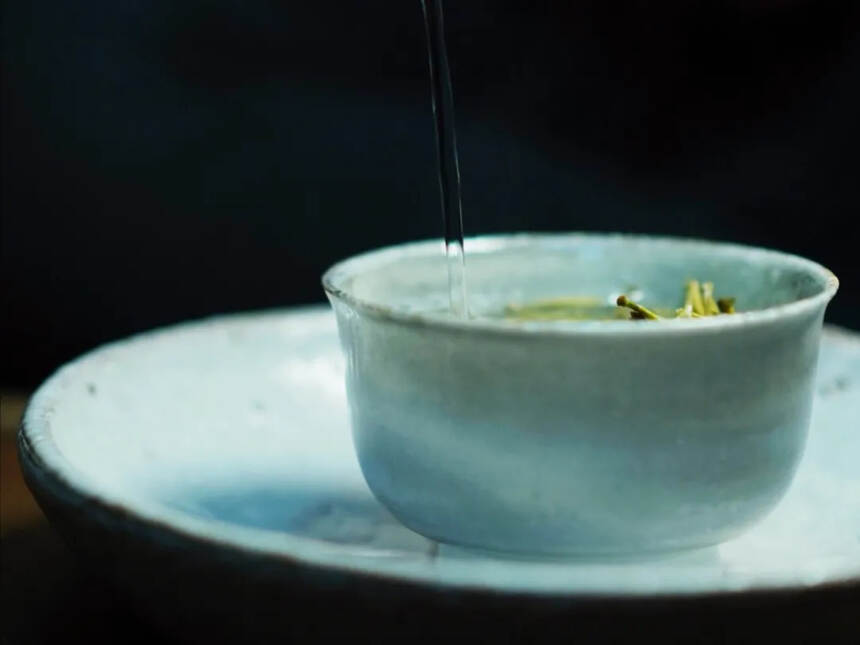 回甘、生津、醇厚，关于白茶的专业术语，你知道几个？