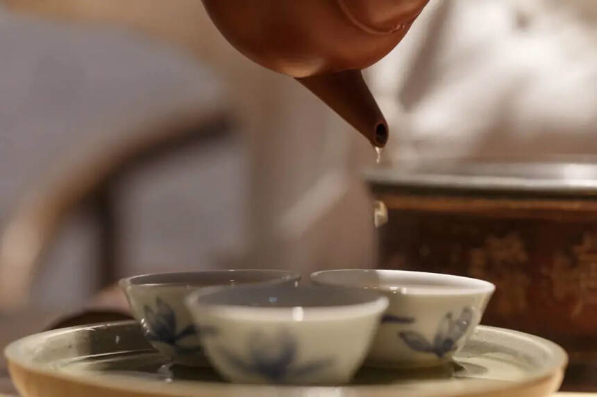 秋季解燥润肺，煮壶老白茶吧，一文解析如何煮老白茶