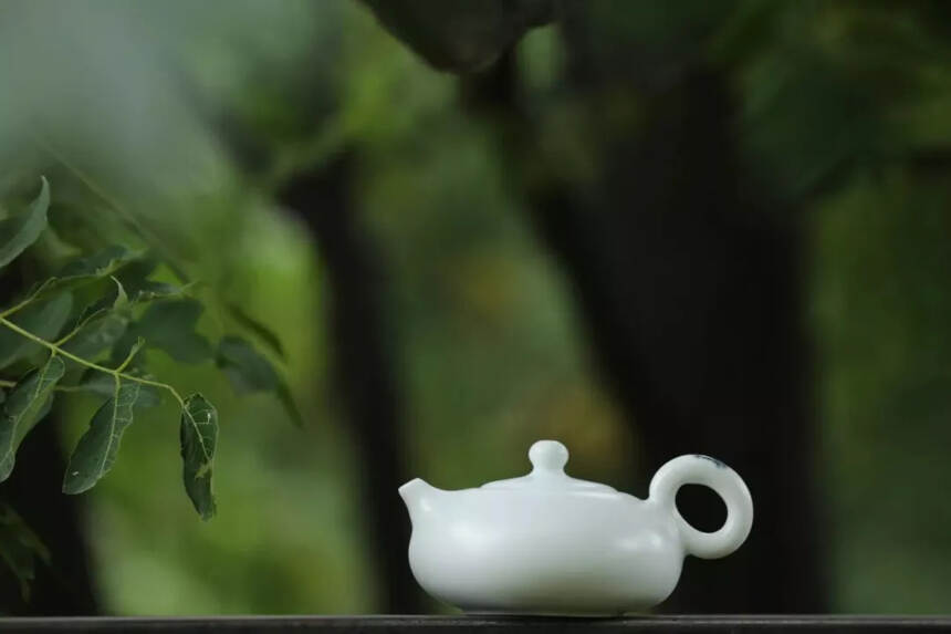 白茶科普，什么是平地茶，半山茶，高山茶，又该如何选择？